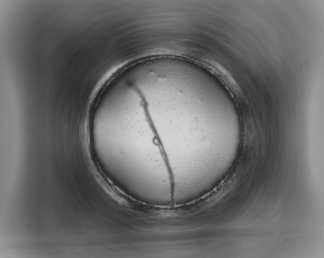 X0000116040796200911271157