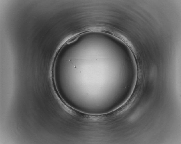 X0000116040803200911271157