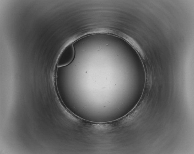 X0000116040805200911271157