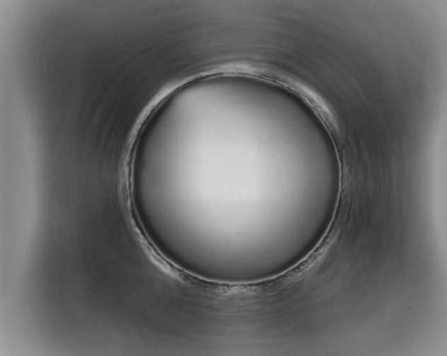 X0000116040808200911271157