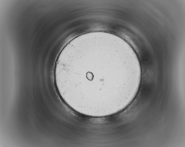 X0000116040810200911271157