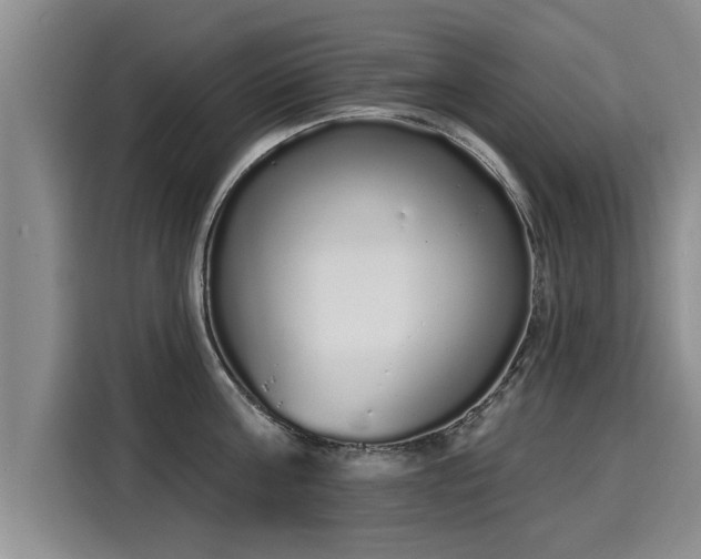 X0000116040811200911271157