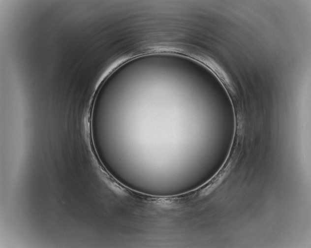 X0000116040814200911271157