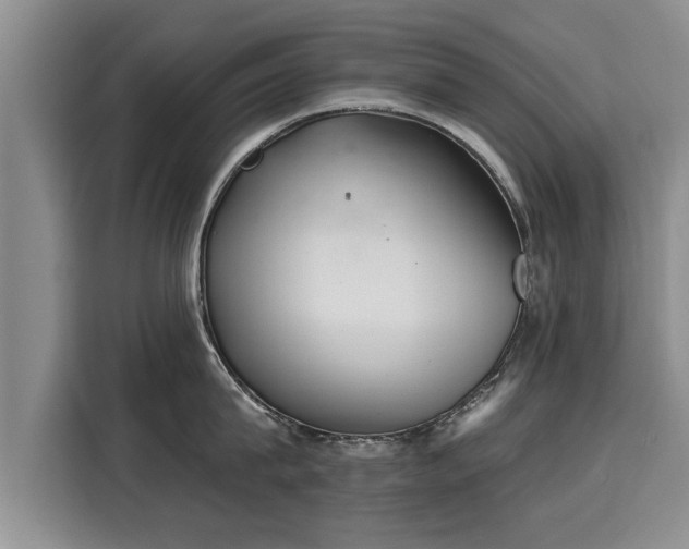 X0000116040815200911271157