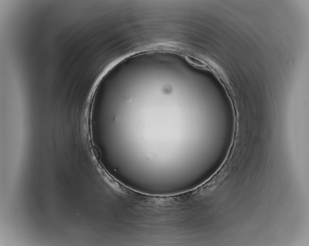 X0000116040816200911271157