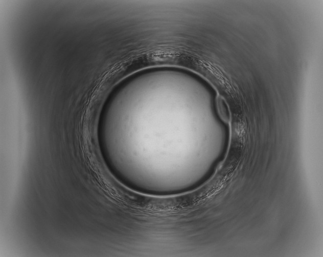 X0000116040817200911271156