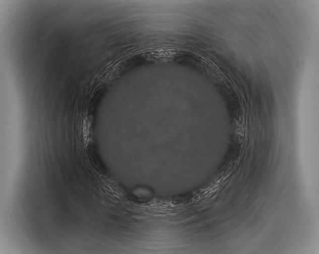 X0000116040818200911271156