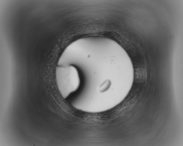 X0000116040820200911271156