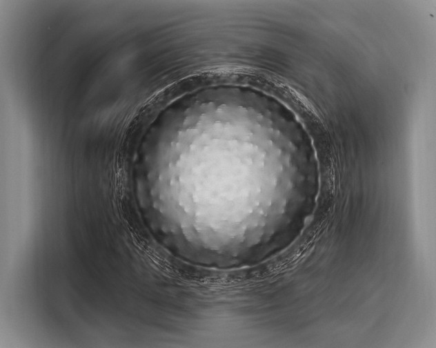 X0000116040821200911271156