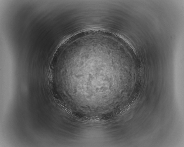 X0000116040823200911271156