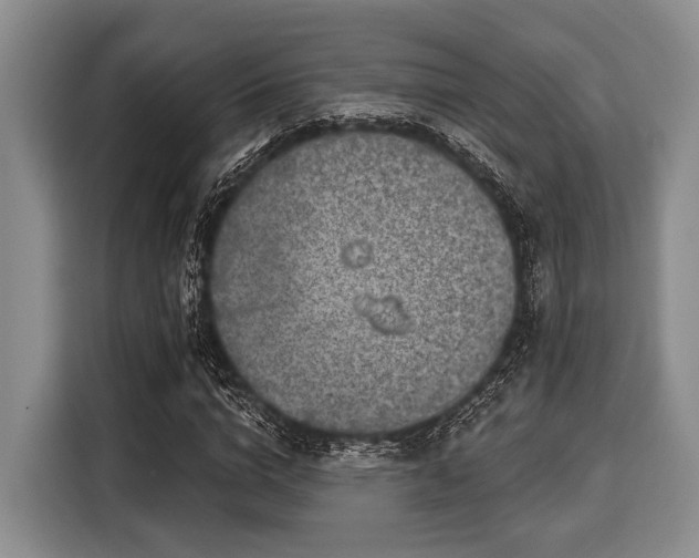 X0000116040824200911271156