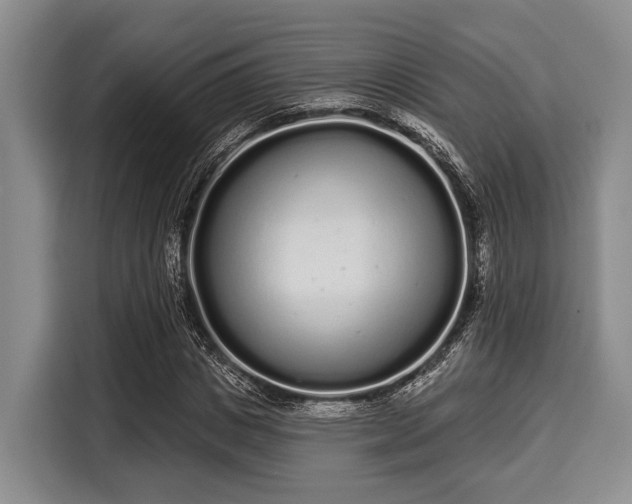 X0000116040825200911271156