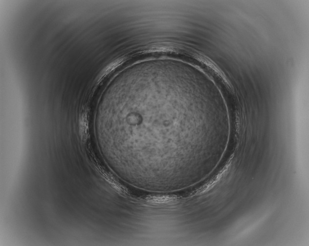 X0000116040826200911271156