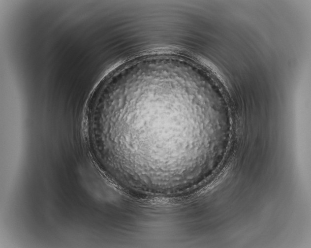 X0000116040827200911271156