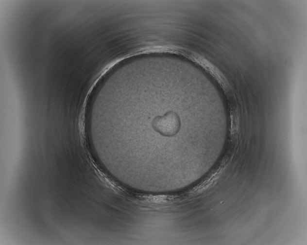 X0000116040828200911271156