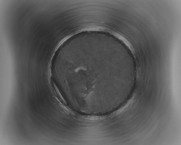 X0000116040829200911271156