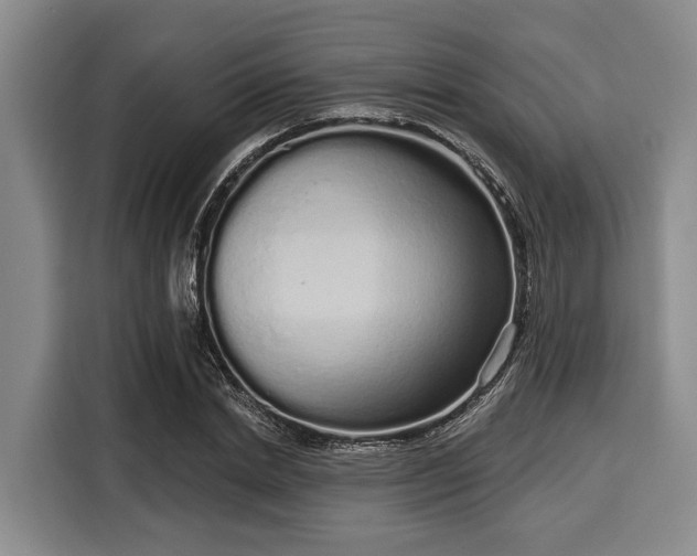 X0000116040830200911271156