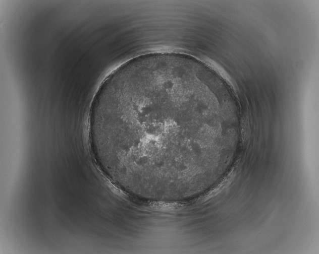 X0000116040831200911271156