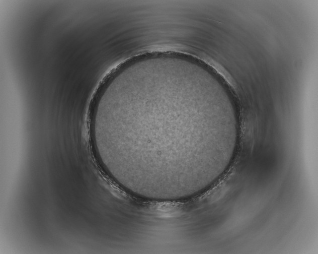 X0000116040832200911271156