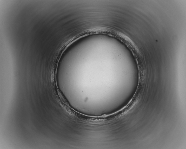 X0000116040833200911271156