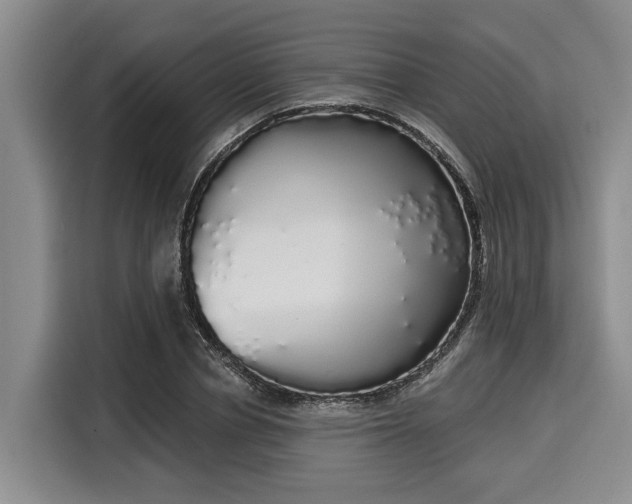 X0000116040834200911271156