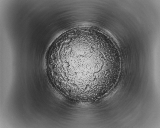 X0000116040835200911271156