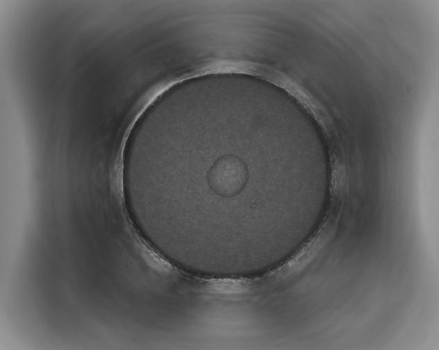 X0000116040836200911271156