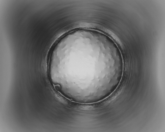 X0000116040837200911271156