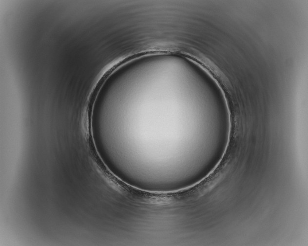 X0000116040838200911271156