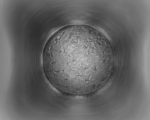 X0000116040839200911271156