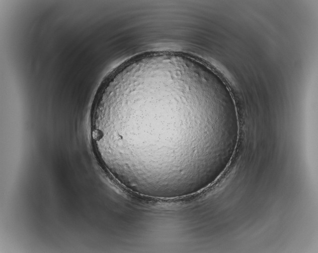 X0000116040840200911271156