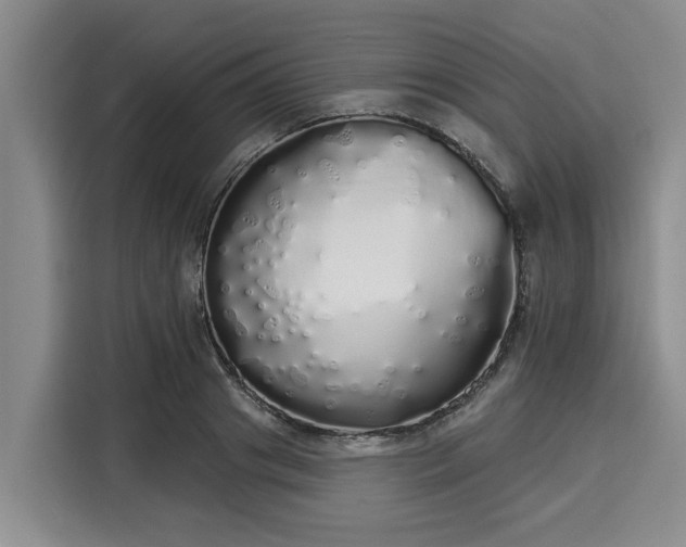 X0000116040841200911271156