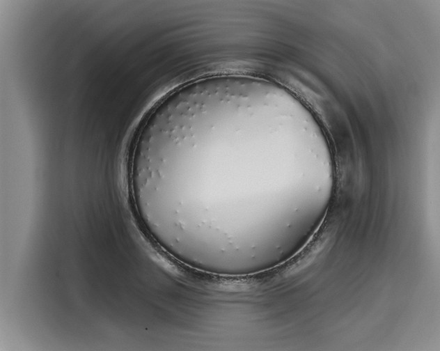 X0000116040843200911271156