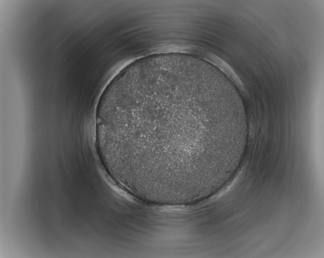 X0000116040844200911271156