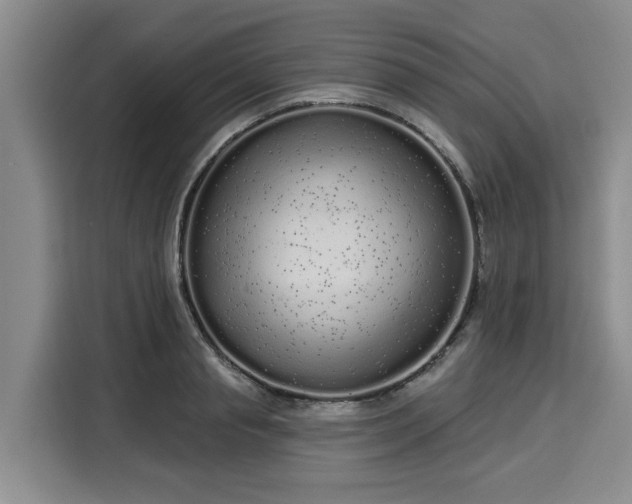 X0000116040845200911271156