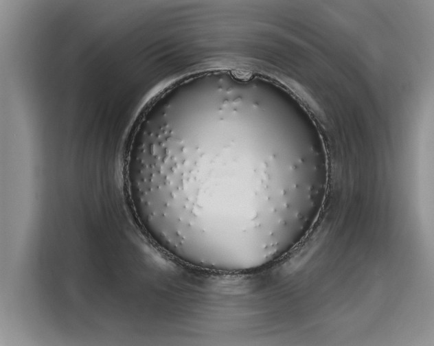 X0000116040846200911271156