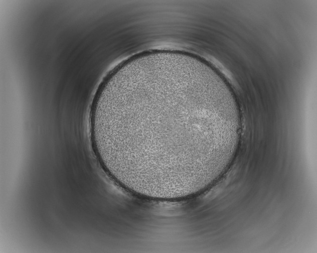 X0000116040848200911271156