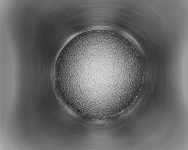 X0000116040852200911271156