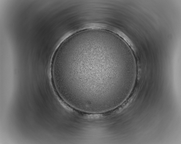 X0000116040853200911271156