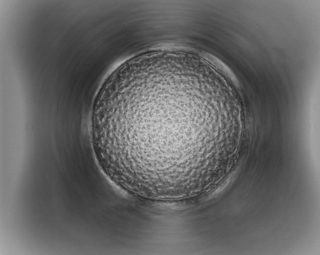 X0000116040855200911271156