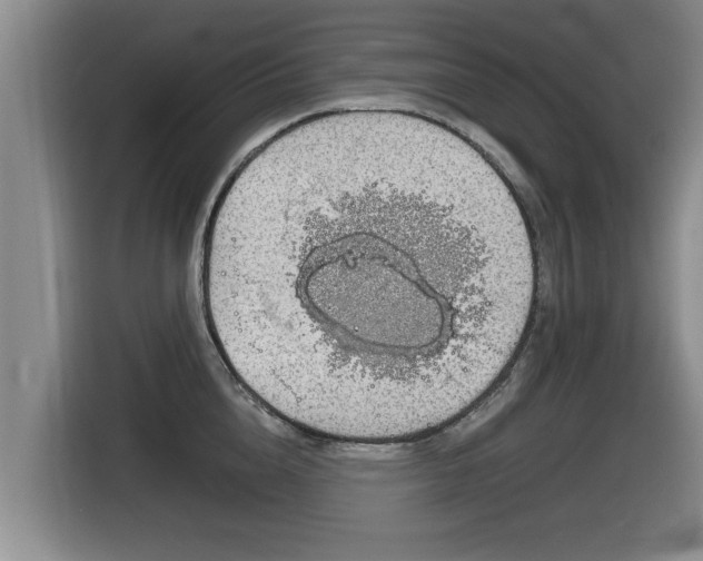 X0000116040856200911271156