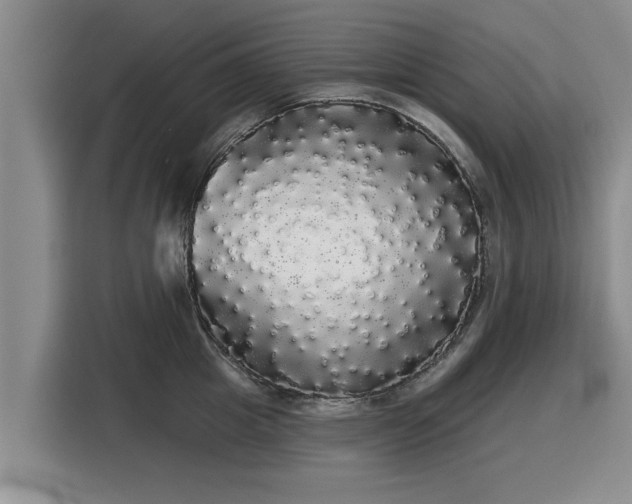 X0000116040857200911271156