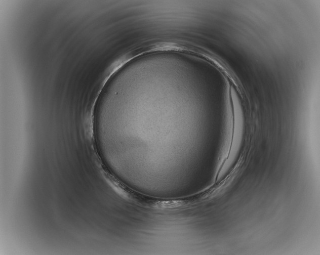 X0000116040858200911271156