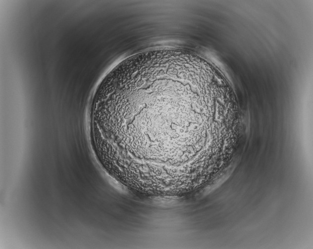 X0000116040859200911271156