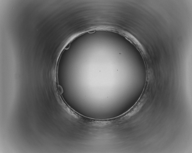 X0000116040860200911271156