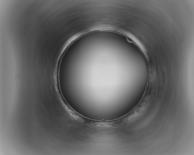 X0000116040861200911271156