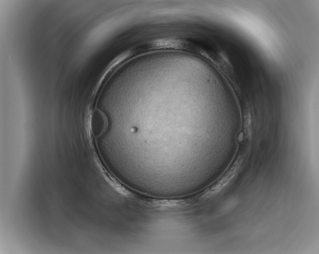 X0000116040862200911271156