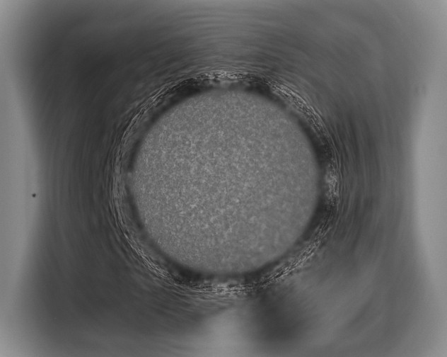 X0000116040865200911271156