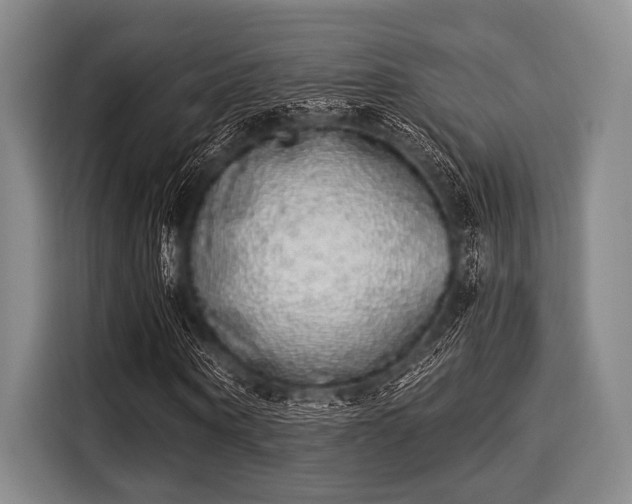 X0000116040866200911271156