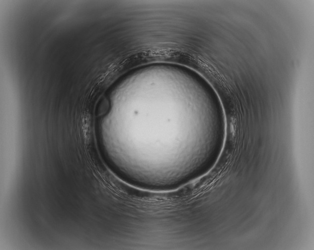 X0000116040867200911271156